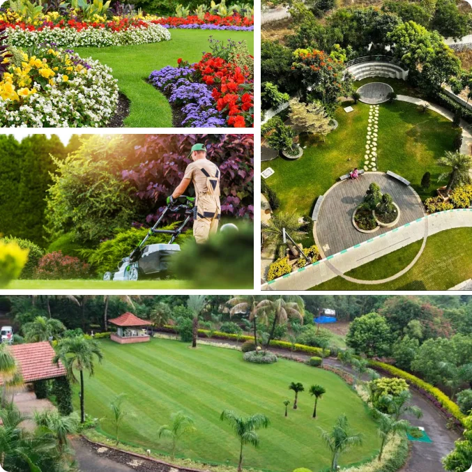 garden-development