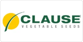 clause-logo"