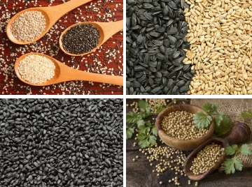 seeds-supplier