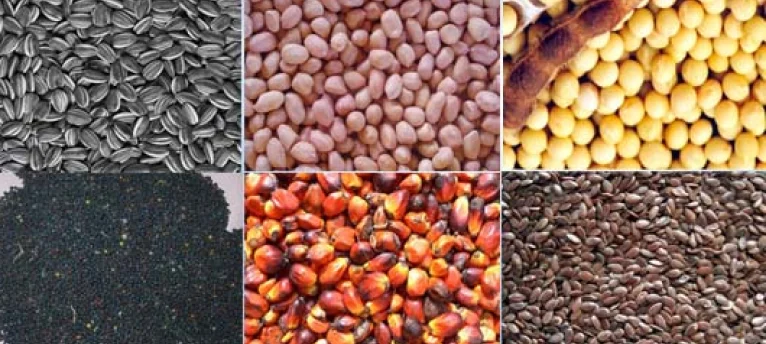seeds-supplier